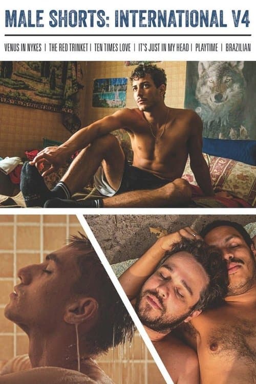 Male Shorts: International V4のポスター