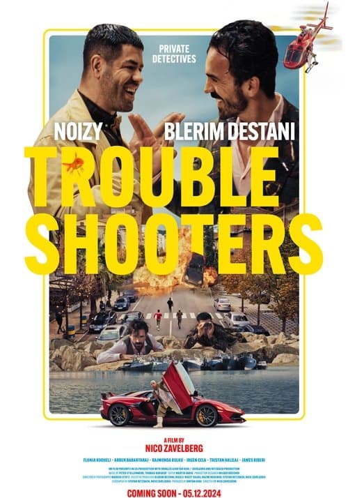 Troubleshootersのポスター