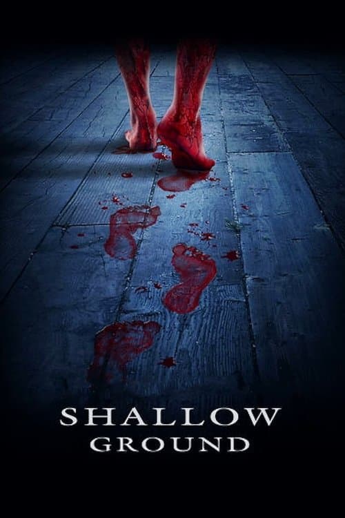 Shallow Groundのポスター