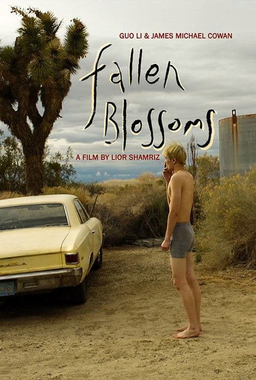 Fallen Blossomsのポスター