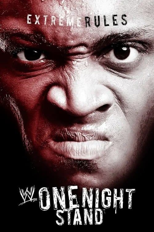 WWE One Night Stand 2007のポスター