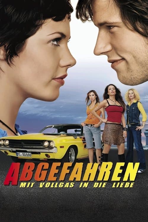 Abgefahrenのポスター