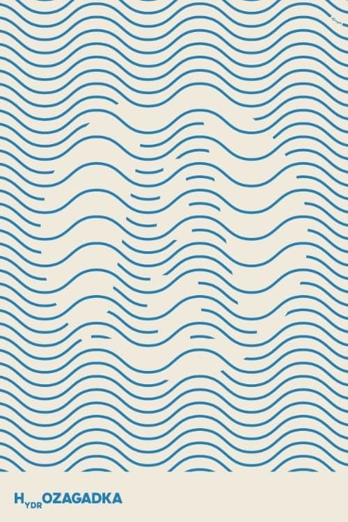 Hydrozagadkaのポスター