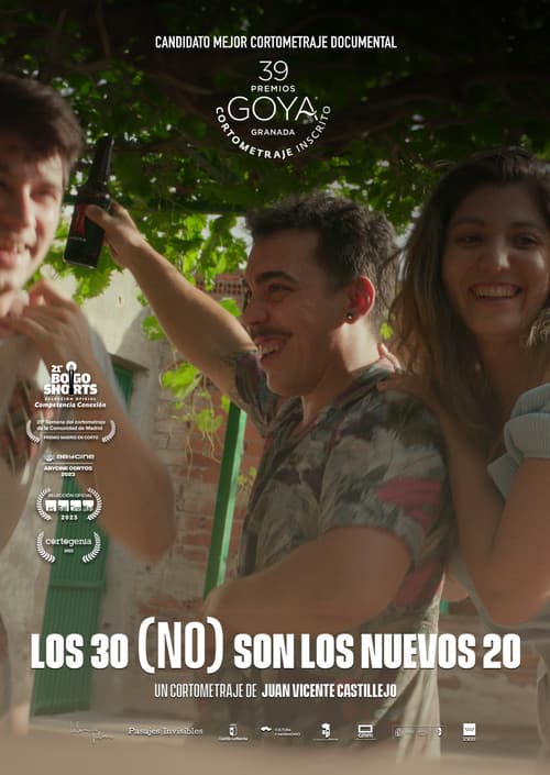 Los 30 (NO) son los nuevos 20のポスター