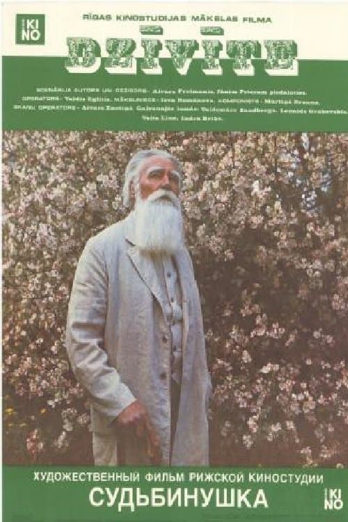 Dzīvīteのポスター