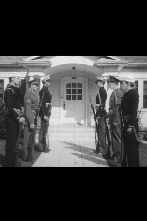 Sentinels of Safetyのポスター