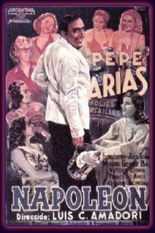 Napoleónのポスター