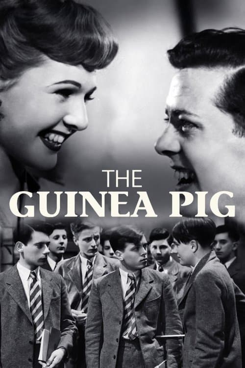 The Guinea Pigのポスター