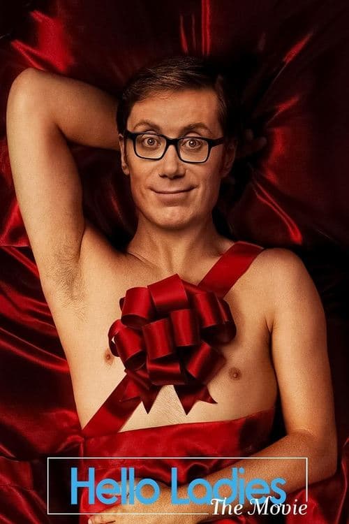 Hello Ladies: The Movieのポスター