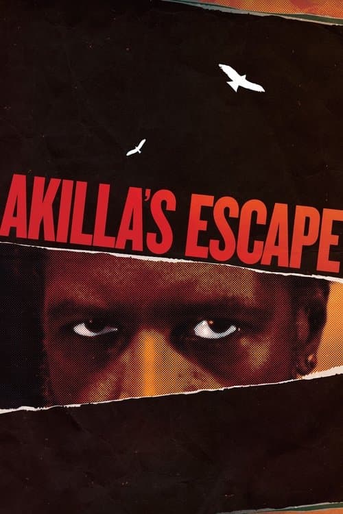 Akilla's Escapeのポスター