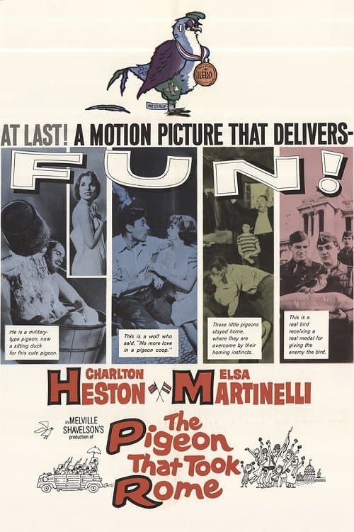 The Pigeon That Took Romeのポスター