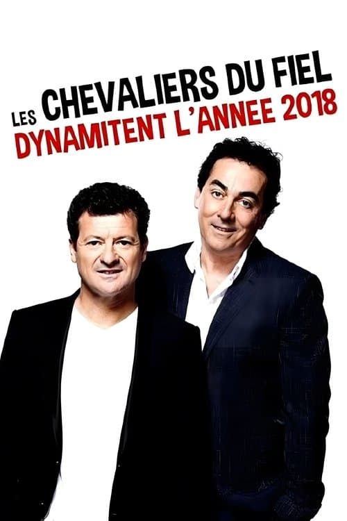 Les Chevaliers du fiel dynamitent l'année 2018のポスター