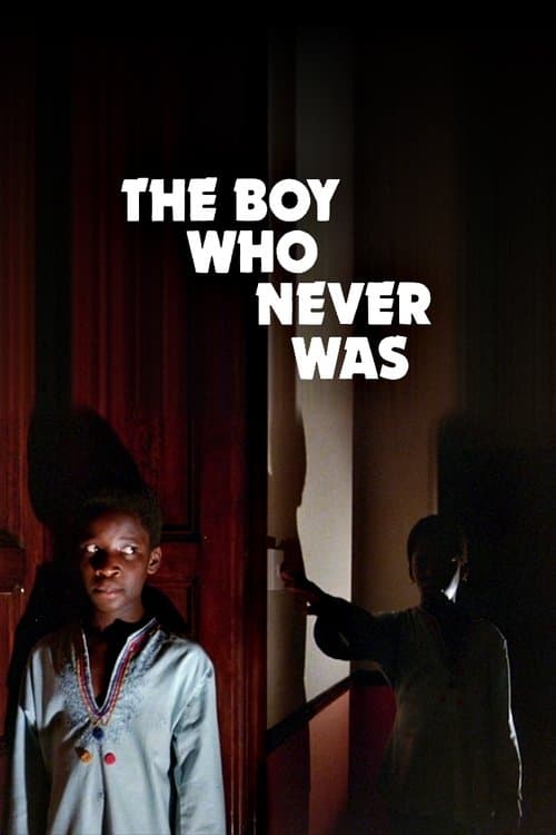 The Boy Who Never Wasのポスター