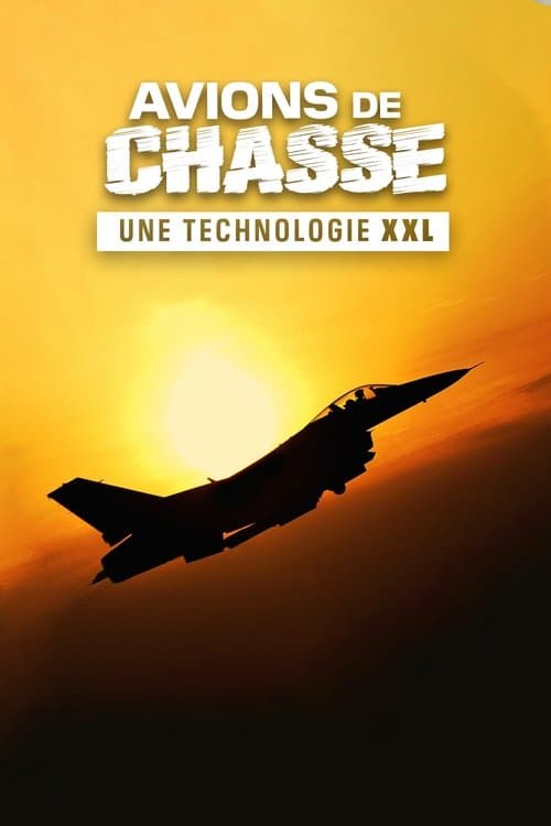 Avions de chasse : Une technologie XXLのポスター