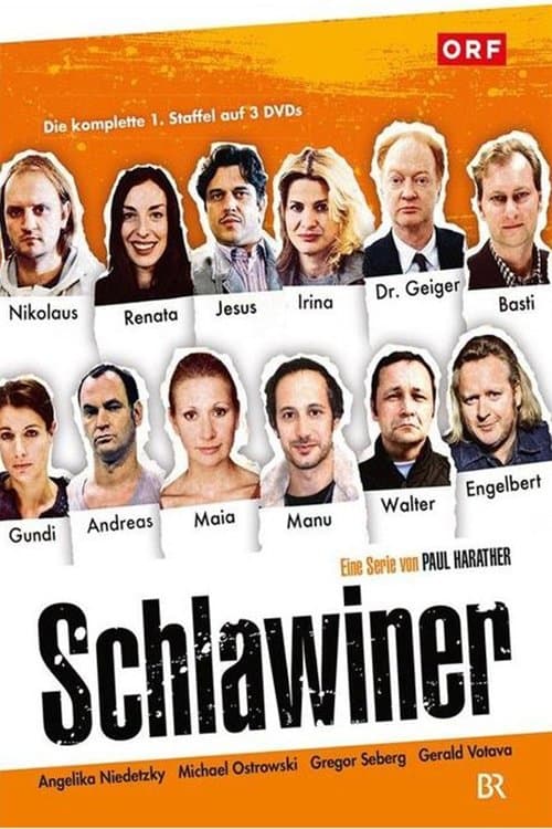 Schlawinerのポスター