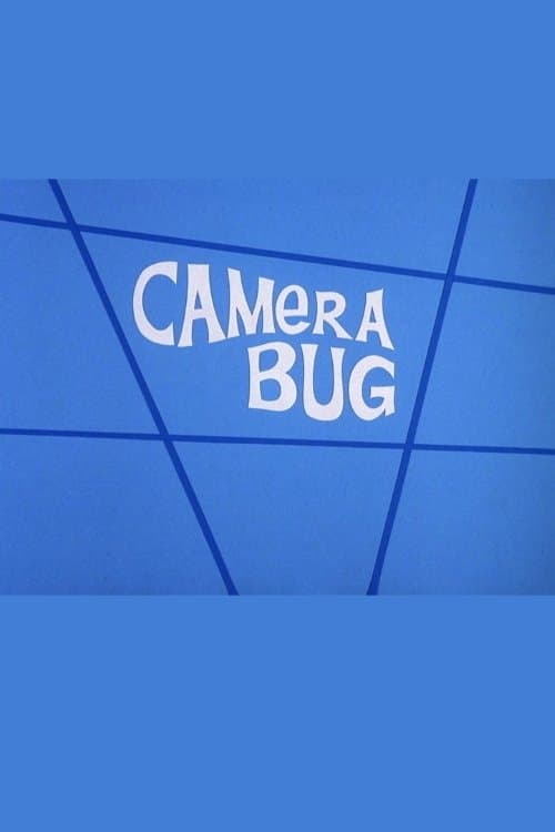 Camera Bugのポスター