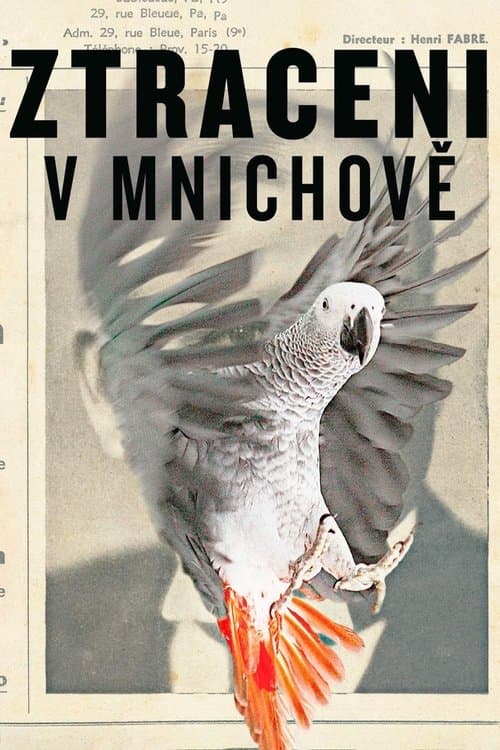 Ztraceni v Mnichověのポスター