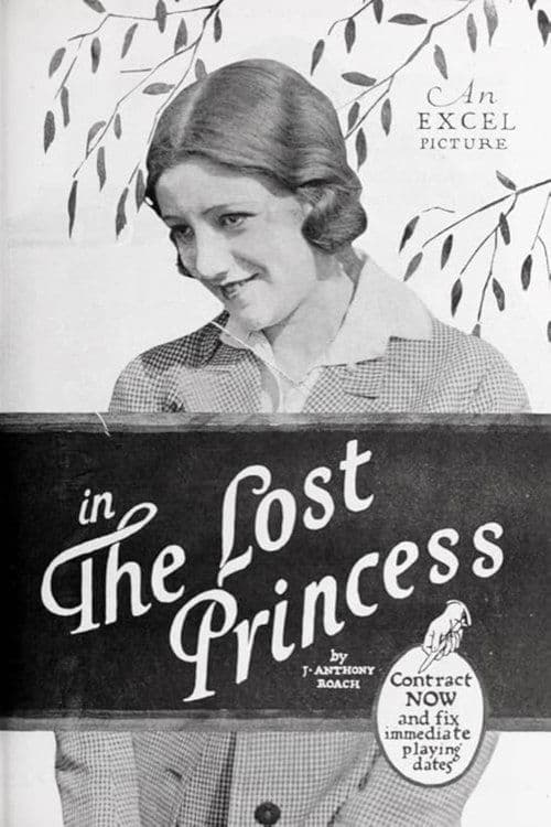The Lost Princessのポスター