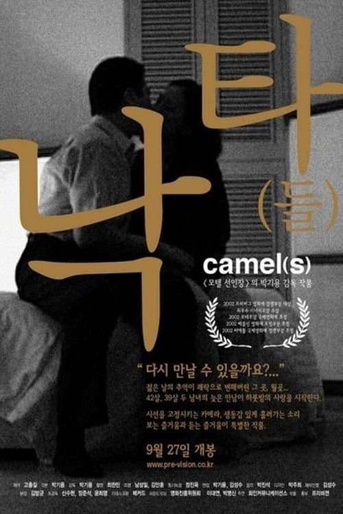 낙타(들)のポスター