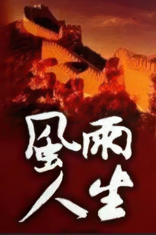 风雨人生のポスター