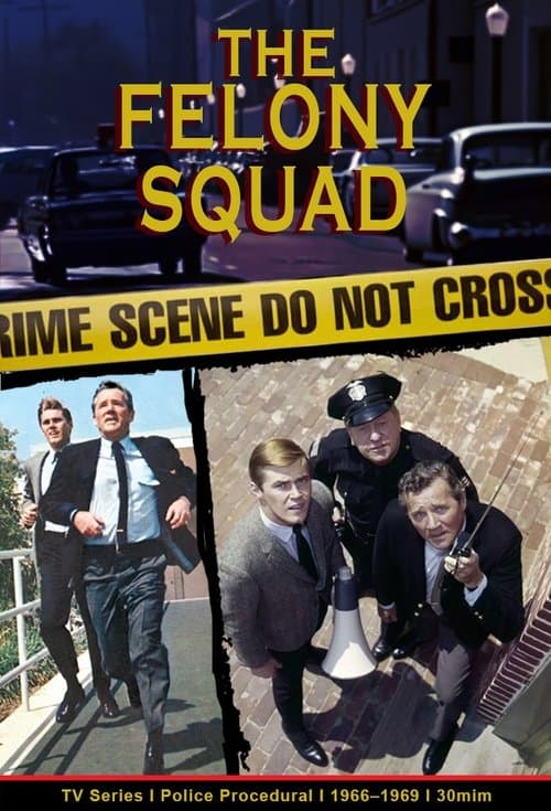 Felony Squadのポスター