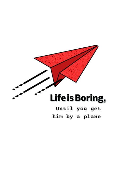 Life is Boring, Until you get hit by a planeのポスター