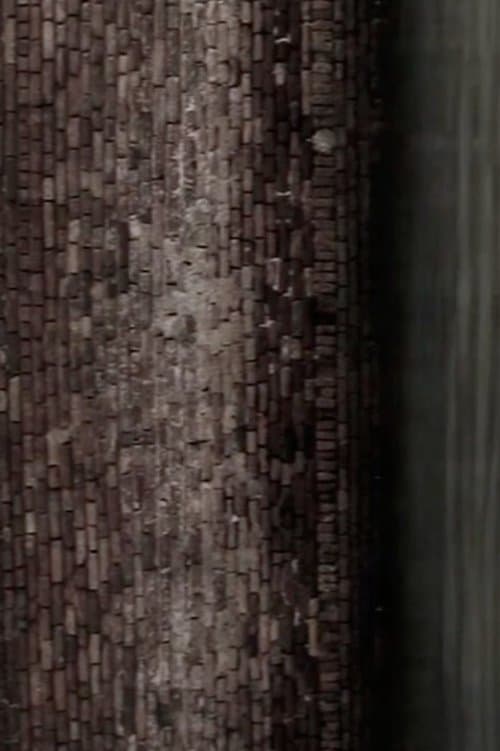 Las palomitas blancasのポスター