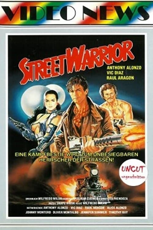 Revenge of the Street Warriorのポスター
