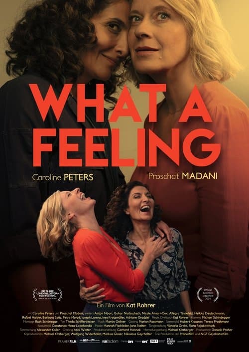 What a Feelingのポスター