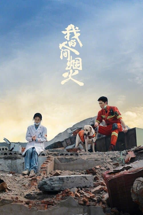 我的人间烟火のポスター