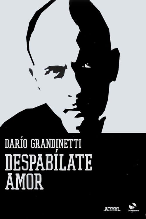 Despabílate amorのポスター