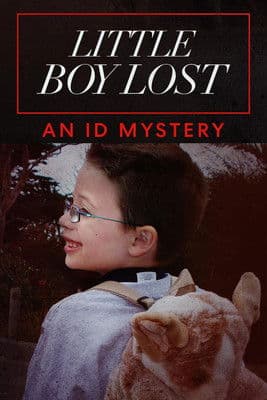 Little Boy Lost: An ID Mysteryのポスター