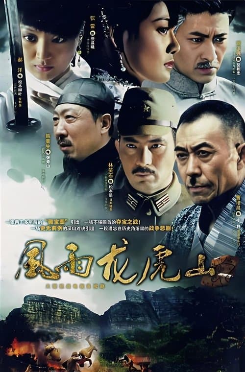 风雨龙虎山 (2007)のポスター