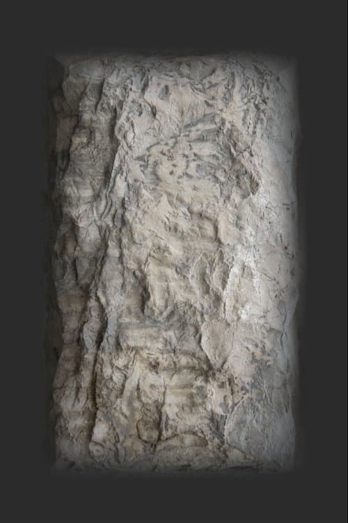 Dreamのポスター