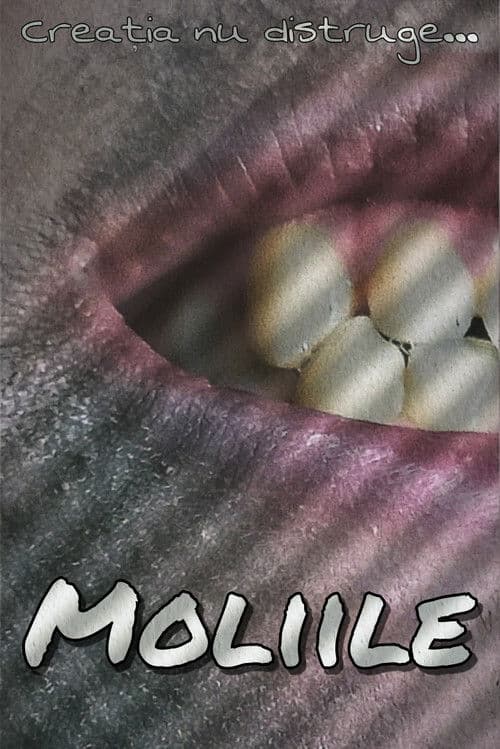 Moliileのポスター