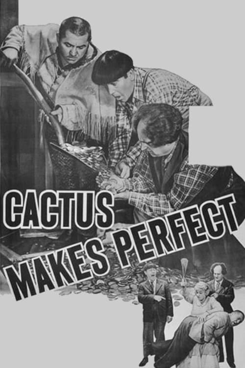 Cactus Makes Perfectのポスター