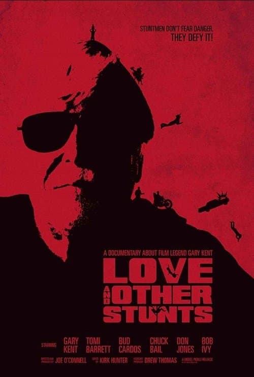 Love and Other Stuntsのポスター
