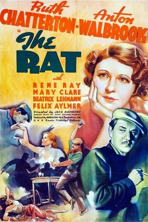 The Ratのポスター