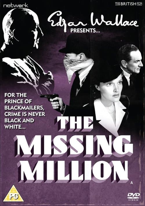 The Missing Millionのポスター