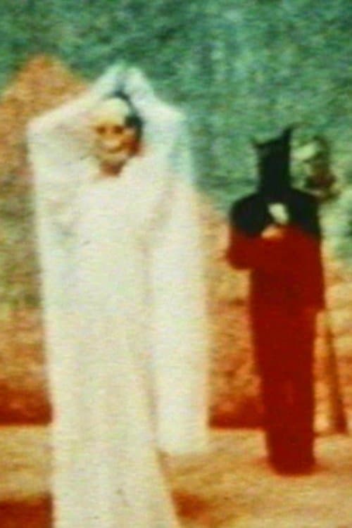 In the Shadow of the Sunのポスター