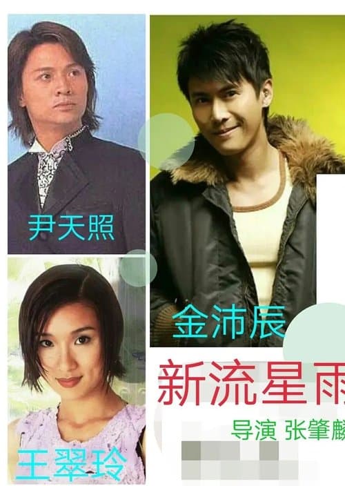 新流星雨のポスター