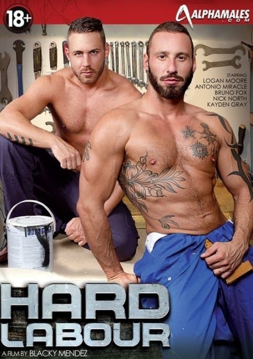 Hard Labourのポスター