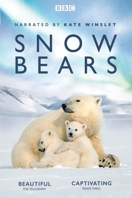 Snow Bearsのポスター