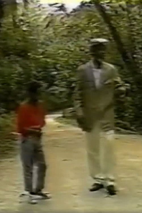 O Menino e o Velhoのポスター