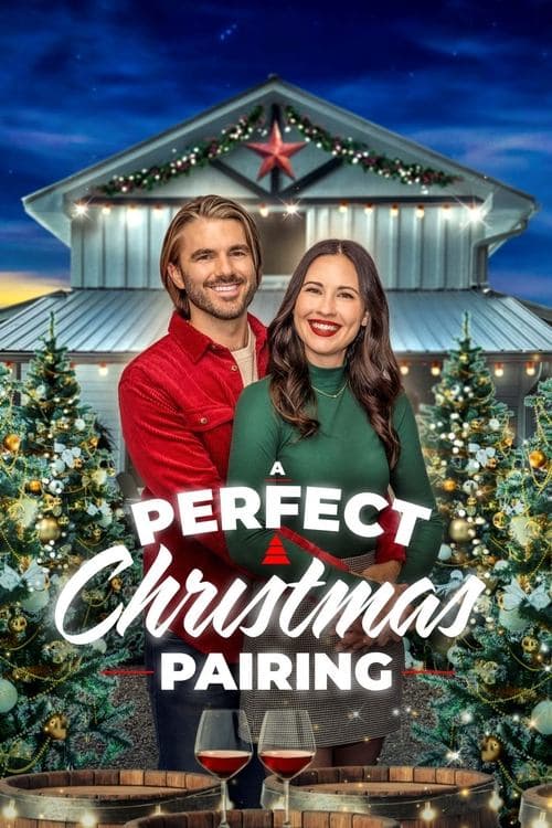 A Perfect Christmas Pairingのポスター