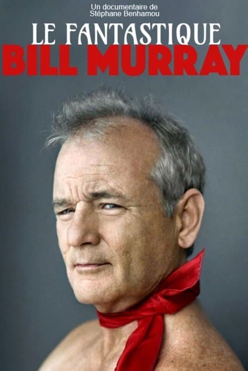 Le Fantastique Mr Murrayのポスター