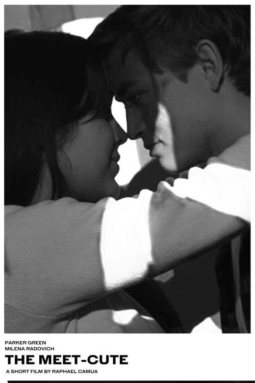 The Meet-Cuteのポスター