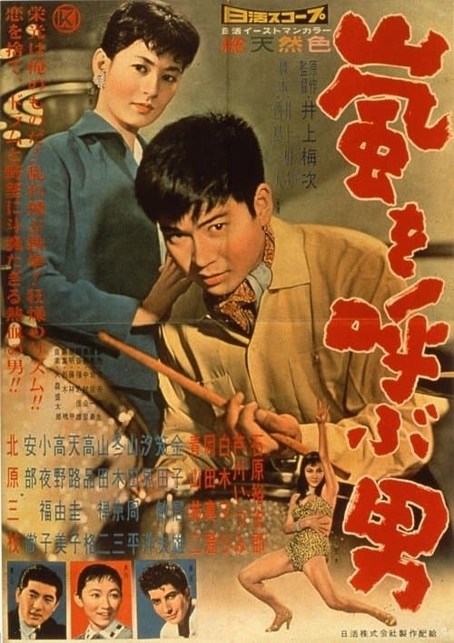 嵐を呼ぶ男のポスター