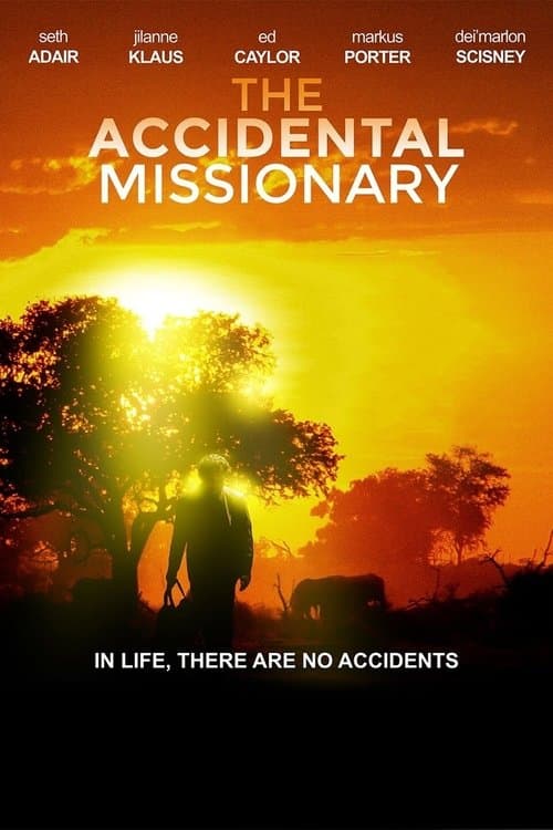 The Accidental Missionaryのポスター