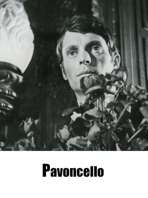 Pavoncelloのポスター